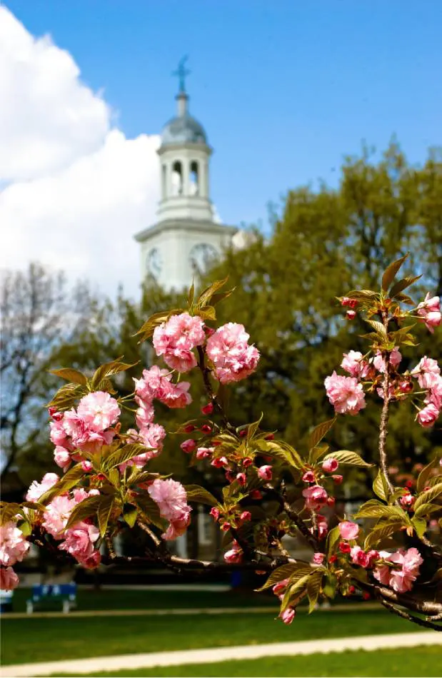 flower display with Holmes Hall clock tower in the background