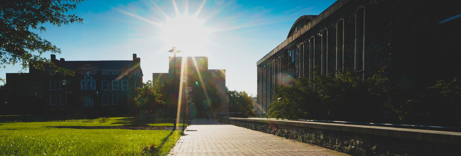 sunrise on the academic quad